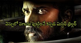 Red Sonja OTT : ఏం సినిమా మావా... కనికరం లేని ఊచకోత... అదరగొట్టే అమ్మాయి యాక్షన్ అడ్వెంచర్