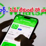 Whatsapp: మెసేజింగ్ యాప్స్‌కు కేంద్రం ఆదేశాలు.. సిమ్‌ ఉంటేనే వాట్సాప్, టెలిగ్రామ్, స్నాప్‌చాట్ సేవలు!