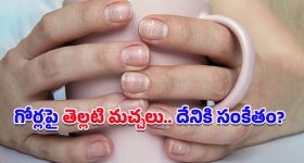 Viral Video: వైద్య అధికారి చిలక్కొట్టుడు.. మహిళా బంధువుల చితక్కొట్టుడు.. నెట్టింట వీడియో వైరల్!