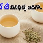 White Tea Benefits: బ్లాక్ గ్రీన్‌లను మించి ‘వైట్ టీ’ హెల్త్ సీక్రెట్స్.. అందం, ఆరోగ్యం రెండూ ఒకే కప్పులో!