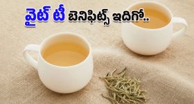Drumstick Soup: మునగకాయ సూప్ తాగితే.. ఈ వ్యాధులు రమ్మన్నా రావు తెలుసా ?