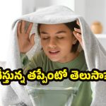 Winter Tips: ఆవిరి పట్టడమే ప్రధాన సమస్యగా మారిందా?.. నిపుణులు చెబుతున్న ఈ విషయాలు తప్పక తెలుసుకోండి!
