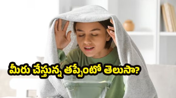 Winter Tips: ఆవిరి పట్టడమే ప్రధాన సమస్యగా మారిందా?.. నిపుణులు చెబుతున్న ఈ విషయాలు తప్పక తెలుసుకోండి!