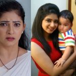 Nindu Nurella Savasam Aru : ‘నిండు నూరేళ్ల సావాసం’ అరు లవ్ స్టోరీలో ట్విస్టులు.. చివరికి విడాకులు..