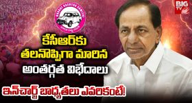 Top 10 Heroins :  ఈ ఏడాది తోపు హీరోయిన్లు వీళ్లే.. టాప్‌లో ఎవరున్నారో తెలుసా..?