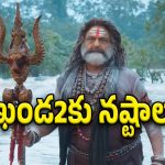 Akhanda 2 Collections : బాలయ్య మూవీకి భారీ నష్టాలు.. ఎన్ని కోట్లు లాస్ అంటే?