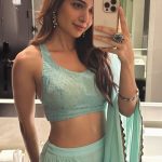 Ashika Ranganath : లెహంగాలో ఆషిక క్యూట్ సెల్ఫీ.. నడుము అందాలతో పిచ్చెక్కిస్తుంది..