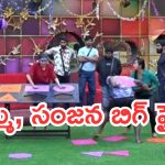 Bigg Boss 9 Telugu Promo: భరణి అవుట్.. తనూజ కోసం త్యాగం.. లీడర్ బోర్డులో స్కోర్ కోసం పోరు..