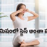 Bhramari Pranayama: ఒక్క నిమిషంలో మనసుకు ప్రశాంతత.. స్ట్రెస్ తగ్గించడంలో ‘భ్రమరి ప్రాణాయామం’ ఎలా పనిచేస్తుందంటే?
