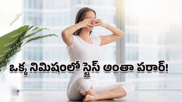 Bhramari Pranayama: ఒక్క నిమిషంలో మనసుకు ప్రశాంతత.. స్ట్రెస్ తగ్గించడంలో ‘భ్రమరి ప్రాణాయామం’ ఎలా పనిచేస్తుందంటే?