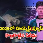 OTT Movie : 2025లో OTTలో అత్యధికంగా వీక్షించిన టాప్ 5 సిరీస్‌లు ఇవే… అన్నీ చూసేశారా ?