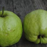 Guava in Winter: చలికాలంలో జామకాయ తినవచ్చా? తింటే జలుబు చేస్తుందా?