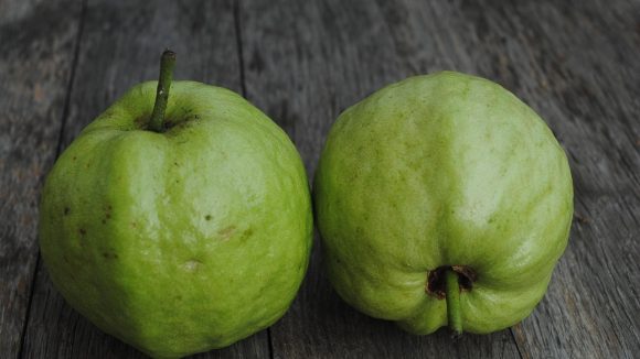 Guava in Winter: చలికాలంలో జామకాయ తినవచ్చా? తింటే జలుబు చేస్తుందా?