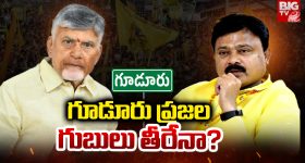Guduru: గూడూరు ప్రజల గుబులు తీరేనా?