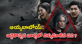 OTT Movie : రిమోట్ ఐలాండ్లో అమ్మాయిల అరాచకం... బ్లాక్ మ్యాజిక్ తో ఒళ్లు గగుర్పొడిచే ఎలిమెంట్స్... హర్రర్ మూవీ కంటే ఘోరం