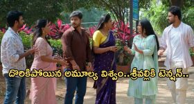 Illu Illalu Pillalu Today Episode: అడ్డంగా బుక్కయిన తిరుపతి.. శ్రీవల్లి పై రివేంజ్.. చందుకు దొరికిపోయిన అమూల్య..