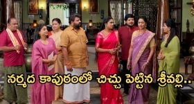 Illu Illalu Pillalu Today Episode: అయ్యో.. శ్రీవల్లి ఇలా ఇరుక్కుందేంటి..? భాగ్యం కు కొత్త టెన్షన్.. సాగర్ కు క్లాస్..