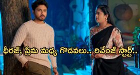Periods foods: నెలసరిలో కచ్చితంగా తినాల్సిన ఆహారాలు ఇవి, వీటిని తింటే ఏం జరుగుతుందో తెలుసా?