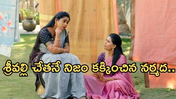 Illu Illalu Pillalu Today Episode: నర్మదకు దొరికిపోయిన శ్రీవల్లి.. అమూల్య బయటపెట్టిన నిజం.. ప్రేమకు షాక్..