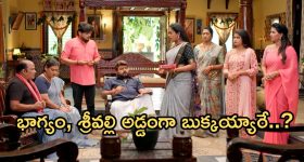 IndiGo Crisis: ఇండిగో సంక్షోభం..1650 విమానాలను నడిపిన సంస్థ.. ప్యాసింజర్లకు రూ. 610 కోట్ల రీఫండ్