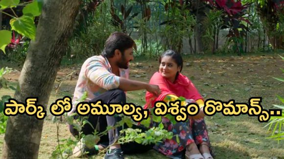 Illu Illalu Pillalu Today Episode: అయ్యో.. రైమ్ చెప్పి దొరికిపోయిందే.. పార్క్ లో విశ్వం, అమూల్య.. ఒక్క లెటర్ వల్ల ఎపిసోడ్ మొత్తం నవ్వులే..