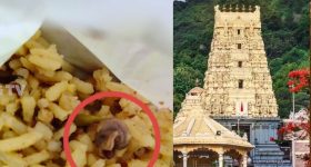 Snail in Simhachalam Prasadam: అప్పన్న ఆలయంలో అపచారం.. ప్రసాదంలో నత్త అవశేషాలు