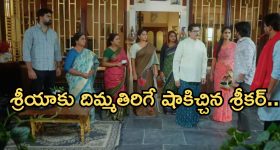 Today Horoscope in Telugu: ఆ రాశి ఉద్యోగులకు లాభాలు - వారు నూతన వస్తు, వాహనాలు కొంటారు