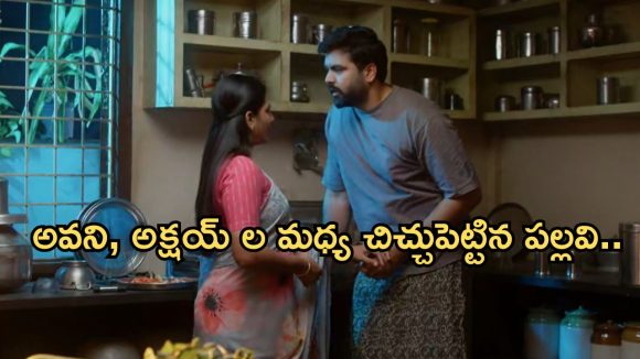 Intinti Ramayanam Today Episode: నిజం దాచిన రాజేంద్రప్రసాద్.. పల్లవి మాస్టర్ ప్లాన్..అవనికి దొరికిపోతుందా..?