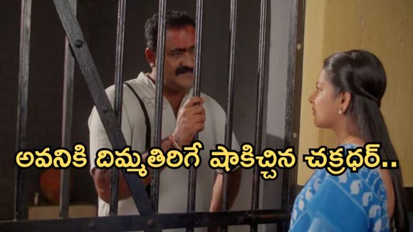 Intinti Ramayanam Today Episode: చక్రధర్ ను కలిసిన అవని.. దిమ్మతిరిగే షాక్..రాజేశ్వరిని రెచ్చగొట్టిన పల్లవి..