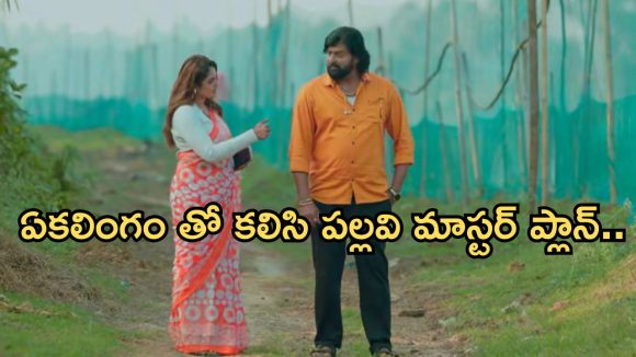 Intinti Ramayanam Today Episode: అక్షయ్ కు సపోర్ట్ గా అవని.. ఏకలింగం తో కలిసిపోయిన పల్లవి.. పిల్లల కోసం పాట్లు..