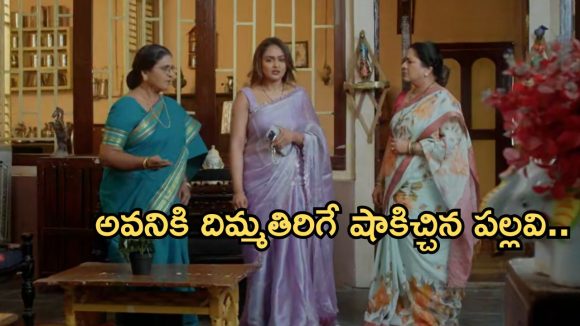 Intinti Ramayanam Today Episode: అవనికి దొరికిపోయిన పల్లవి.. పార్వతిని మార్చేసిన పల్లవి.. చక్రధర్ కు వార్నింగ్..