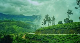 Top 20 News: సీఎం రేవంత్ రెడ్డి వ్యాఖ్యలపై హరీష్ రావు కౌంటర్, టేకాఫ్‌కు సిద్ధం.. విమానంలో అగ్ని ప్రమాాదం