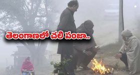Weather Update: రాష్ట్రవ్యాప్తంగా వణికిస్తున్న చలిపులి.. కనిష్ట స్థాయికి పడిపోయిన ఉష్ణోగ్రతలు