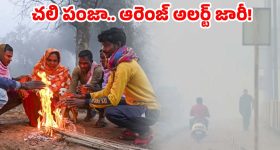 Bus Accident: ప్రైవేటు ట్రావెల్స్‌ బస్సు బోల్తా.. స్పాట్‌లో 36 మంది