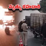 Prakasham District: ప్రకాశం జిల్లాలో ఘోర ప్రమాదం.. డీసీఎం దగ్ధం, డ్రైవర్ సజీవ దహనం
