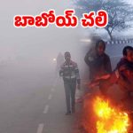 Cold Wave: ఇదేం చలి రా బాబు.. దారుణంగా పడిపోతున్న ఉష్ణోగ్రతలు.. గజగజ వణుకుతున్న జనాలు