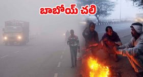 Feet Health: గుండె ప్రమాదాన్ని తెలిపే పాదాలు, మీరు నిర్లక్ష్యం చేయకూడని 3 కీలక లక్షణాలు ఇవే !