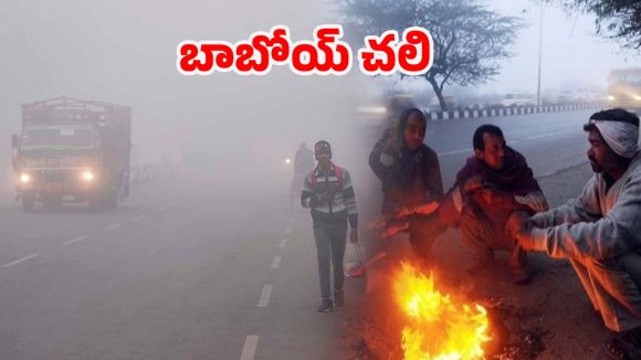 Cold Wave: ఇదేం చలి రా బాబు.. దారుణంగా పడిపోతున్న ఉష్ణోగ్రతలు.. గజగజ వణుకుతున్న జనాలు