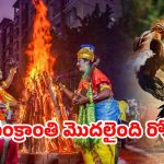 Sankranti Festival: గోదావరి జిల్లాల్లో మొదలైన సంక్రాంతి జోరు.. బరిలోకి దిగుతున్న పందెం కోళ్లు!