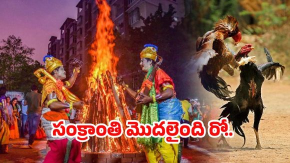 Sankranti Festival: గోదావరి జిల్లాల్లో మొదలైన సంక్రాంతి జోరు.. బరిలోకి దిగుతున్న పందెం కోళ్లు!