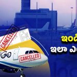 Indigo Flights: ఇండియాలోనే బెస్ట్ ఫ్లైట్ సర్వీస్! ఒక్కసారిగా సంక్షోభంలోకి.. ఇండిగోకు ఏమైంది?