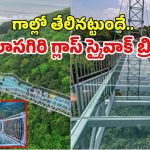 Vizag: వైజాగ్‌కు కొత్త కిరీటం: 300 రూపాయల టికెట్‌తో ఆకాశంలో నడిచే అనుభూతిని అందించనున్న స్కై వాక్ బ్రిడ్జ్