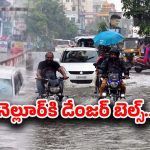 Ditwa Cyclone Effect: దిత్వా తుఫాన్ ఎఫెక్ట్! నెల్లూరులో దంచికొడుతున్న వర్షాలు.. వేలాది ఎకరాల్లో పంట నష్టం..