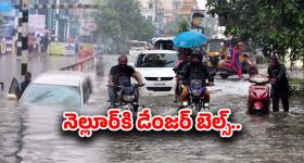 Ditwa Cyclone Effect: దిత్వా తుఫాన్ ఎఫెక్ట్! నెల్లూరులో దంచికొడుతున్న వర్షాలు.. వేలాది ఎకరాల్లో పంట నష్టం..