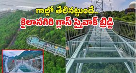 Vizag: వైజాగ్‌కు కొత్త కిరీటం: 300 రూపాయల టికెట్‌తో ఆకాశంలో నడిచే అనుభూతిని అందించనున్న స్కై వాక్ బ్రిడ్జ్