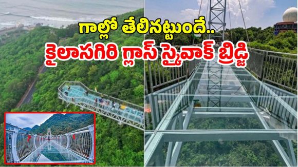 Vizag: వైజాగ్‌కు కొత్త కిరీటం: 300 రూపాయల టికెట్‌తో ఆకాశంలో నడిచే అనుభూతిని అందించనున్న స్కై వాక్ బ్రిడ్జ్