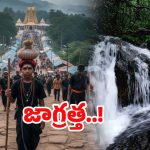 Sabarimala Forest: శబరిమల వెళ్లే అయ్యప్ప భక్తులకు బిగ్ అలర్ట్.. అటువైపు వెళ్లొద్దని హెచ్చరిక