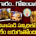 Gold Scam: బంగారం గోవిందా..! శ్రీనివాసుడి సన్నిధిలో అసలేం జరుగుతోంది?