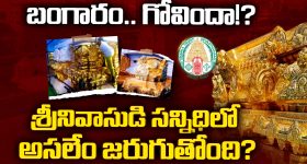 Gold Scam: బంగారం గోవిందా..! శ్రీనివాసుడి సన్నిధిలో అసలేం జరుగుతోంది?