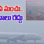 Flights Cancelled: ప్రయాణికులకు తప్పని తిప్పలు.. శంషాబాద్ ఎయిర్‌పోర్టులో 13 విమానాలు రద్దు.. ఎందుకంటే?